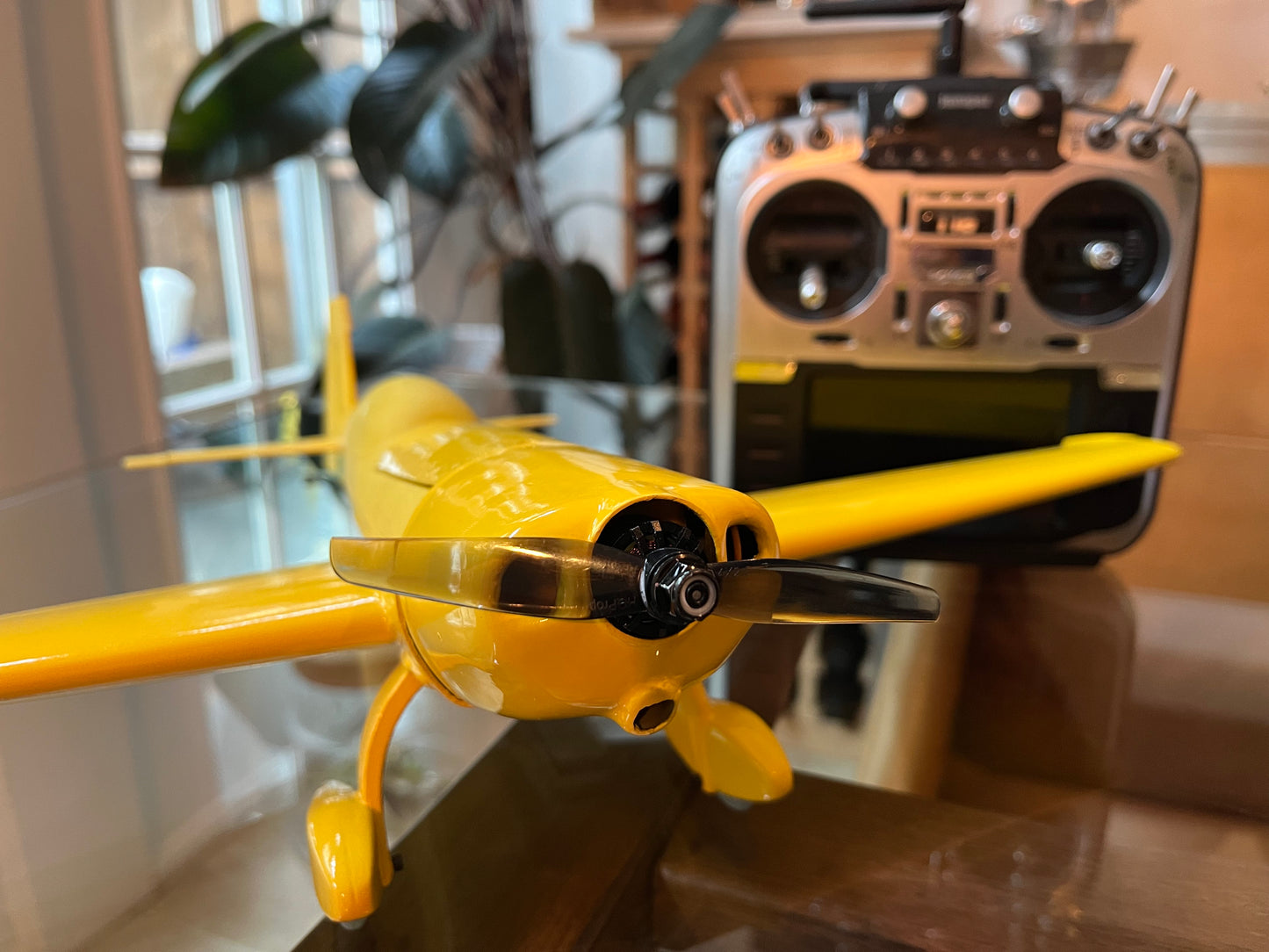 Extra 300 Mini 3D Printable RC Plane