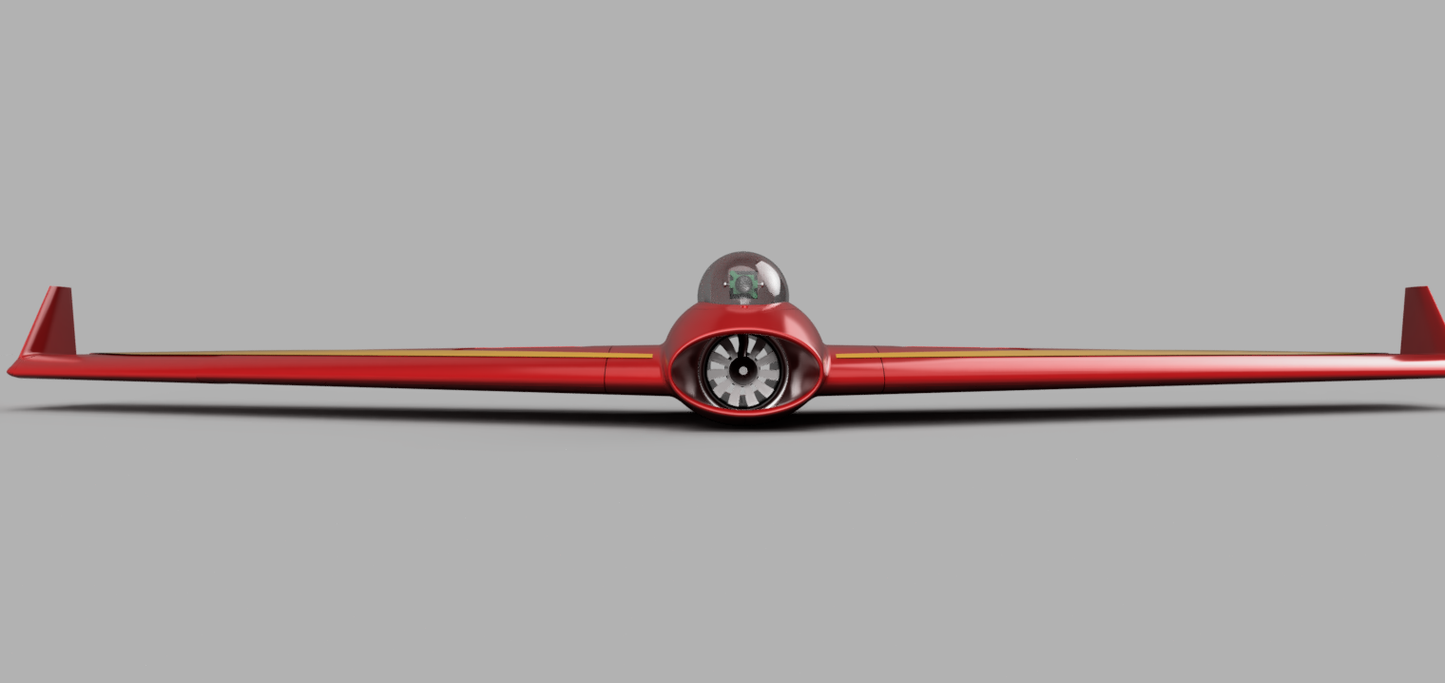 Freewing Jet.  50 mm EDF Jet Flying Wing